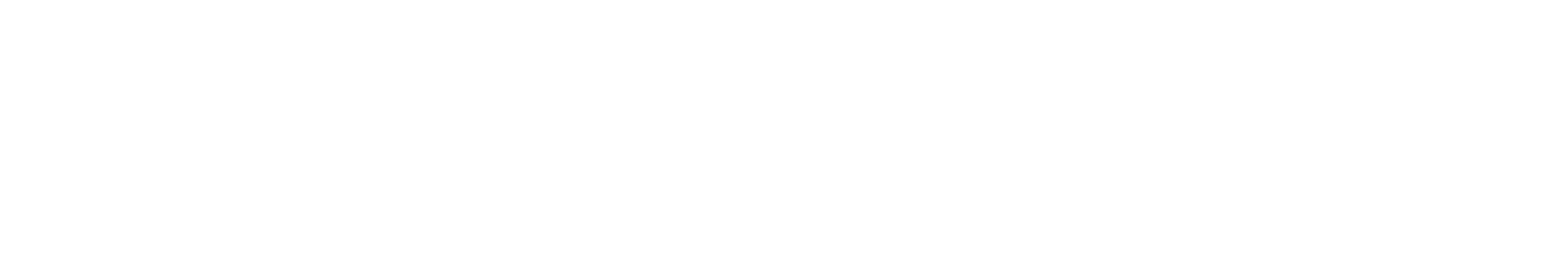 Bird in Flight Pottery